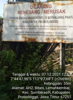 GNH Jatim Laporkan dugaan pengusaha Tambak Udang rusak mangrove ke Polda Jawa Timur