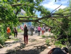 Fenomena Angin Kencang di Banyuwangi, Begini Penjelasan BMKG