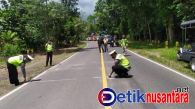 Kecelakaan Maut Di Jalan Raya Jember