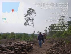 Pengrusakan Hutan Mangrove di Desa Curahsawo, GNH Jatim Melaporkan CV SUV ke POLDA JATIM