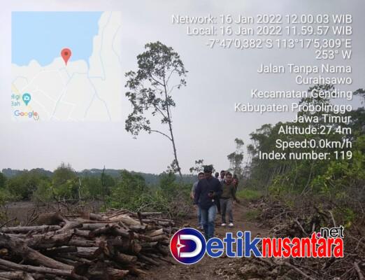 Pengrusakan Hutan Mangrove di Desa Curahsawo, GNH Jatim Melaporkan CV SUV ke POLDA JATIM