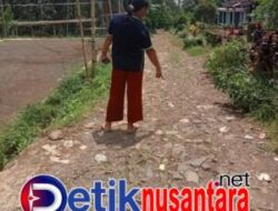 Akses Jalan Desa Taman Sari Rusak Parah, Sudah Bertahun-tahun Tidak di Perhatikan Pemerintah