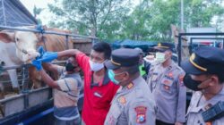 Mitigasi Penyebaran PMK, Polisi di Situbondo Bersama Dinas Peternakan Cek Pasar Hewan