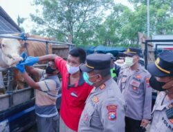 Mitigasi Penyebaran PMK, Polisi di Situbondo Bersama Dinas Peternakan Cek Pasar Hewan