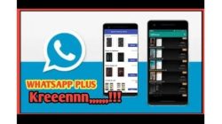 WhatsApp Plus Apk Android
