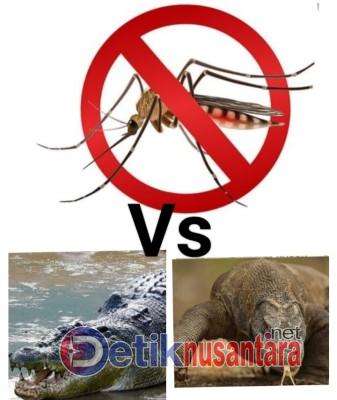 Nyamuk Vs Buaya dan Komodo