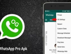 OG Whatsapp Pro Mod Apk Versi Terbaru 2022