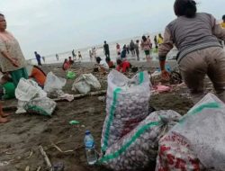 Ribuan Kerang Mendarat di Pantai Asemdoyong