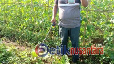 Mbah Mantan Ajak Petani "Back to Nature" Gunakan Pupuk Organik